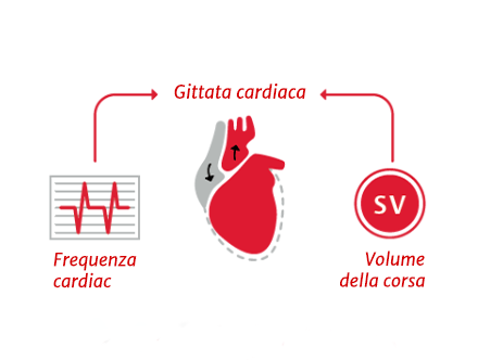 Gittata cardiaca (GC) = volume di eiezione × frequenza cardiaca